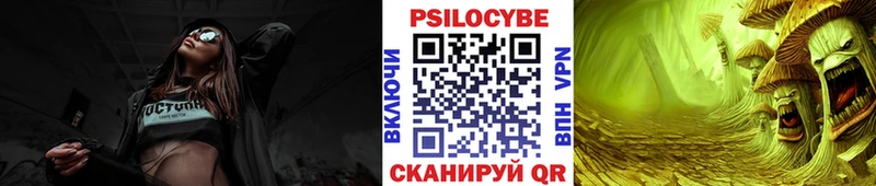 hydra ТОР  Анадырь  Галлюциногенные грибы мицелий 